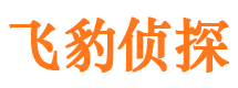 仙居市调查公司